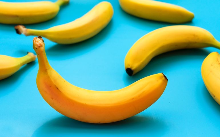 Bananas on a blue background