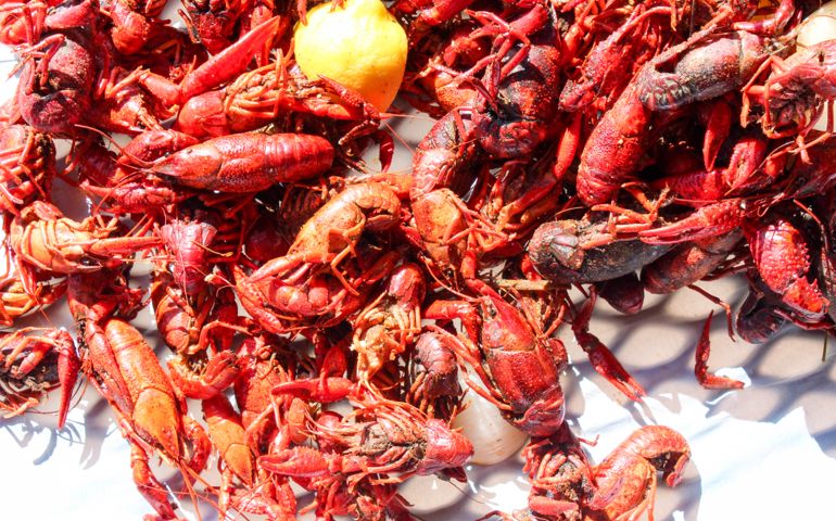 can-you-name-these-southern-dishes.jpg