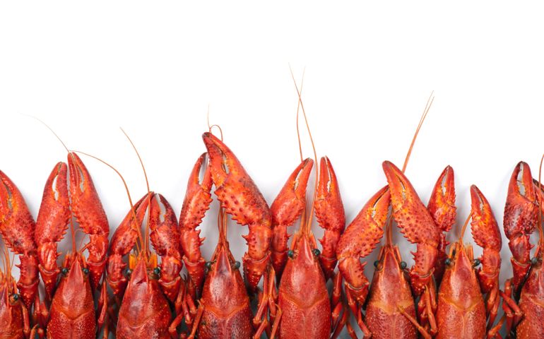 can-you-name-these-southern-dishes.jpg