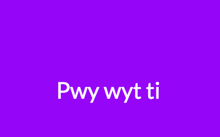 wait-what-language-is-that.jpg