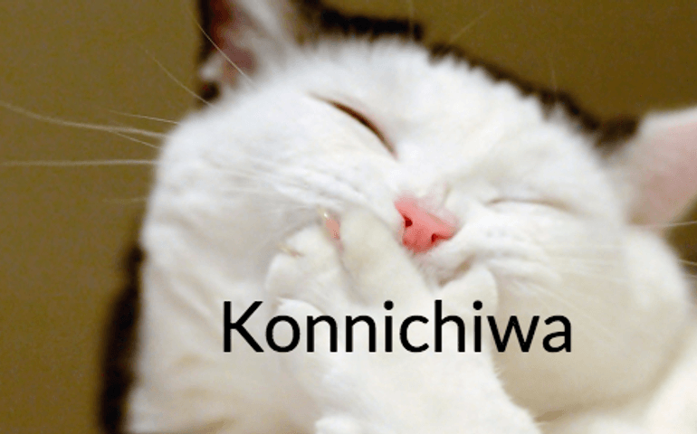 wait-what-language-is-that.jpg