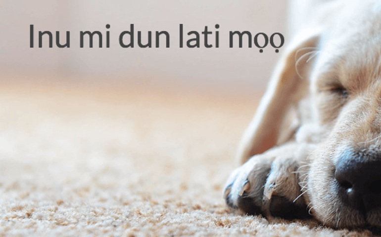 wait-what-language-is-that.jpg