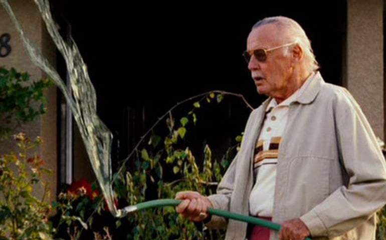 can-you-guess-these-marvel-stan-lee-cameos.jpg