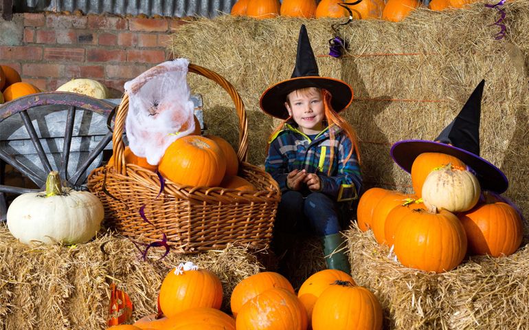 how-much-do-you-know-about-halloween.jpg