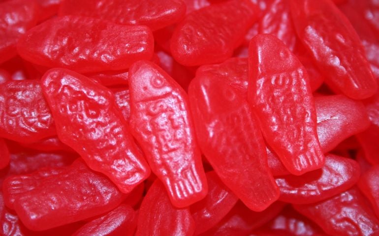 which-of-these-foods-are-really-vegan.jpg