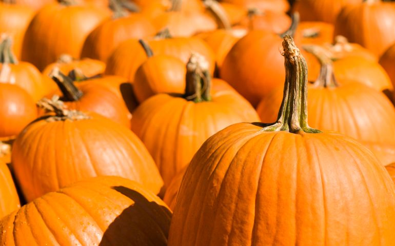 how-much-do-you-know-about-halloween.jpg