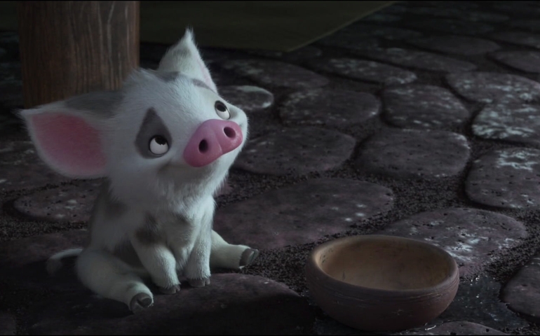 how-many-times-have-you-seen-moana.jpg