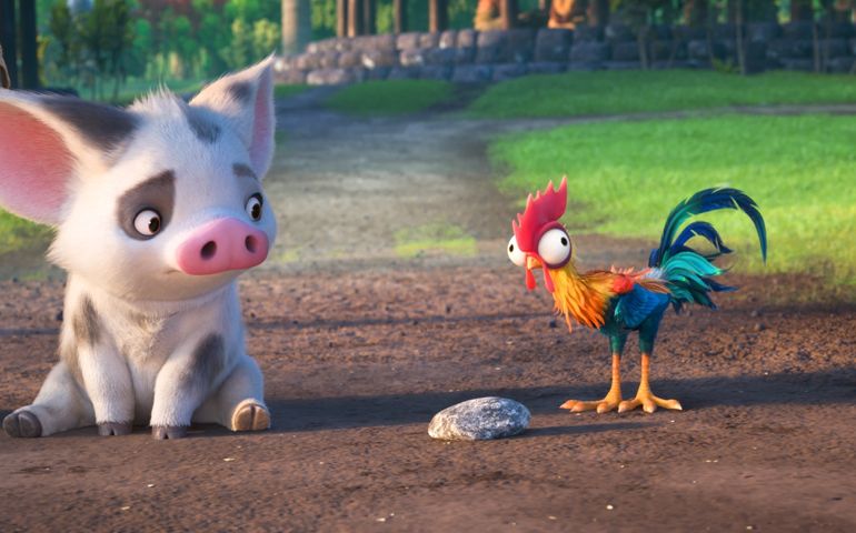 how-many-times-have-you-seen-moana.jpg