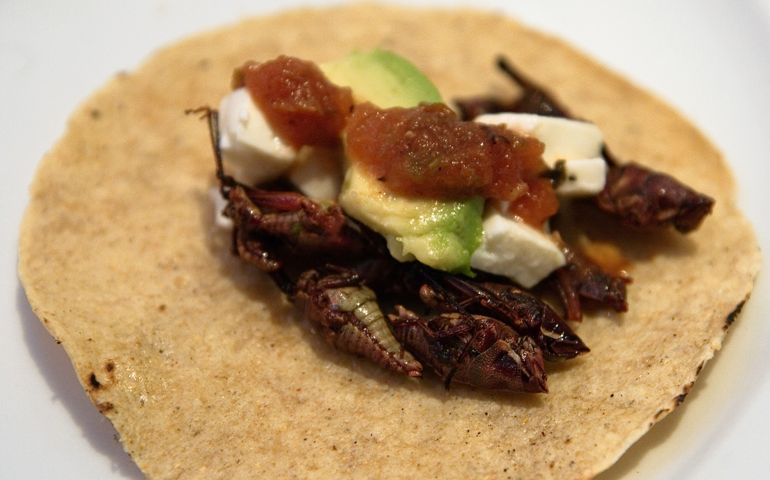 how-much-do-you-really-know-about-mexican-food.jpg