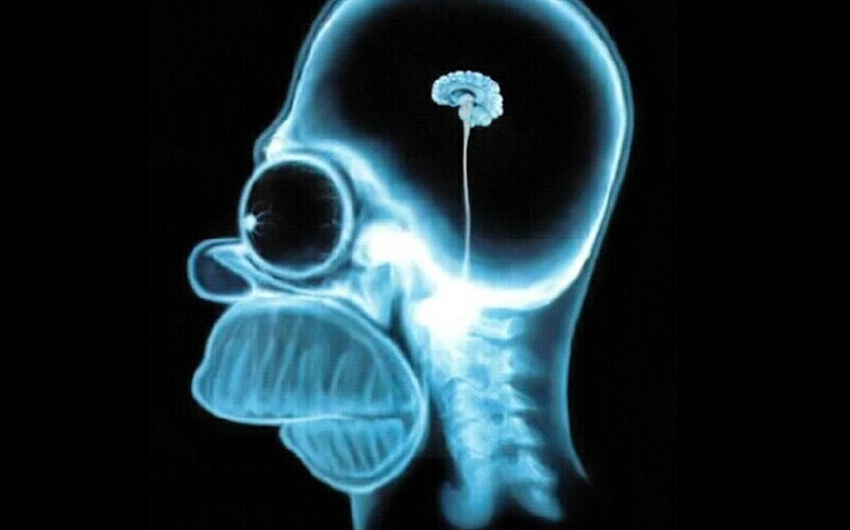 can-you-guess-what-pseudoscience-is-correct.jpg
