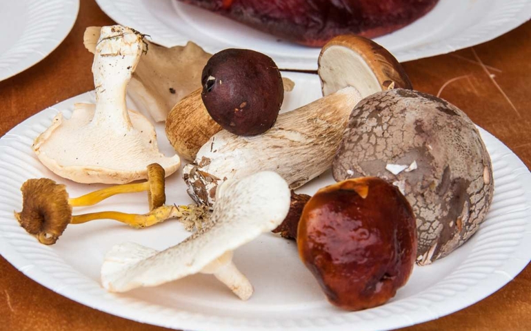 british-food-quiz-how-much-do-you-know.jpg