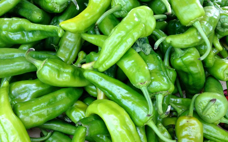 how-much-do-you-really-know-about-mexican-food.jpg