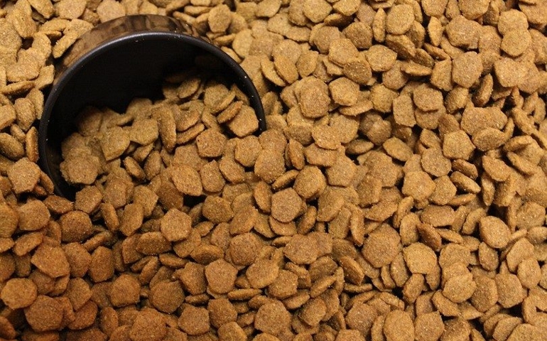 what-do-you-really-know-about-pet-food.jpg