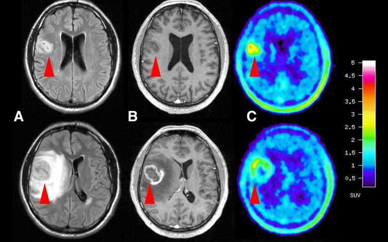 can-you-pass-a-basic-psychology-quiz.jpg