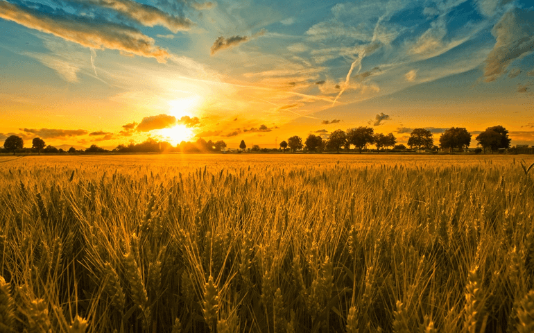 can-you-guess-if-these-miracles-are-biblical.jpg