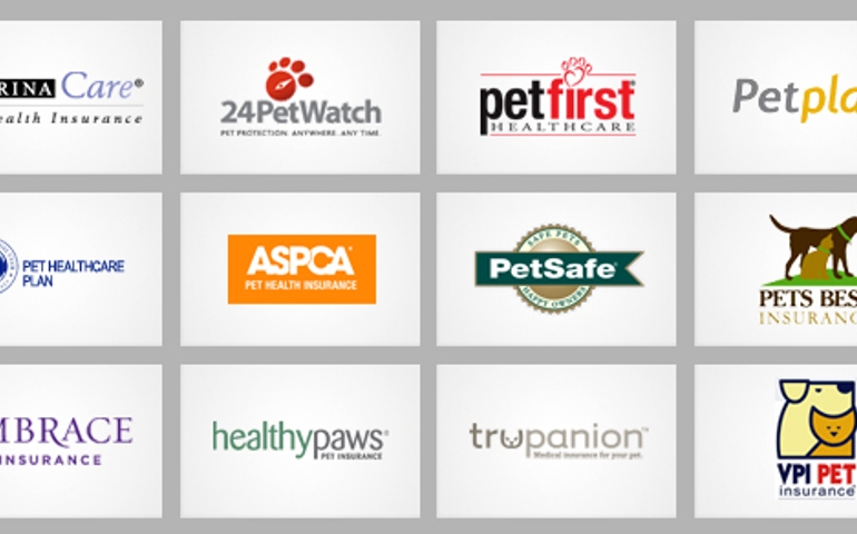 what-do-you-really-know-about-pet-food.jpg