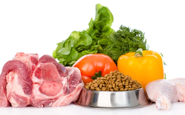 what-do-you-really-know-about-pet-food.jpg