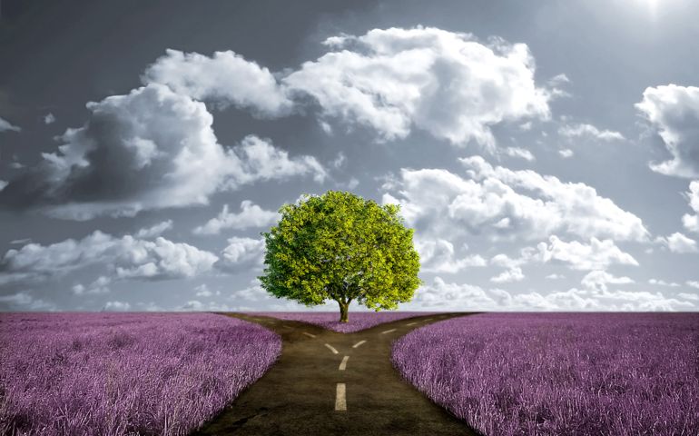 can-you-pass-a-basic-psychology-quiz.jpg