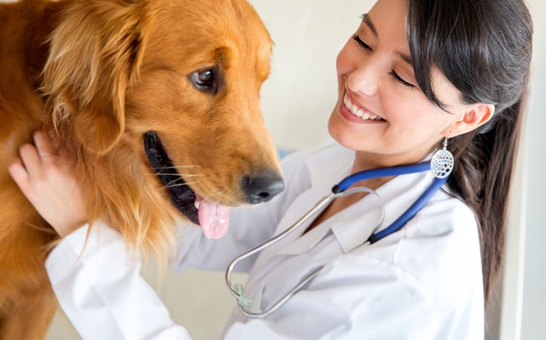 what-do-you-really-know-about-pet-food.jpg