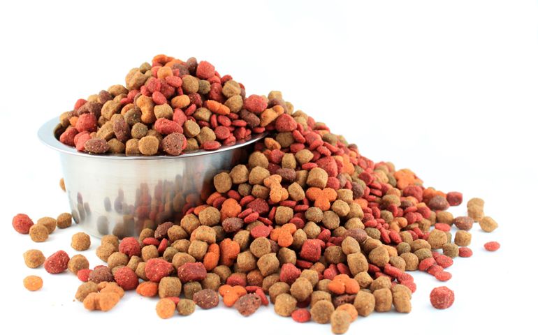 what-do-you-really-know-about-pet-food.jpg