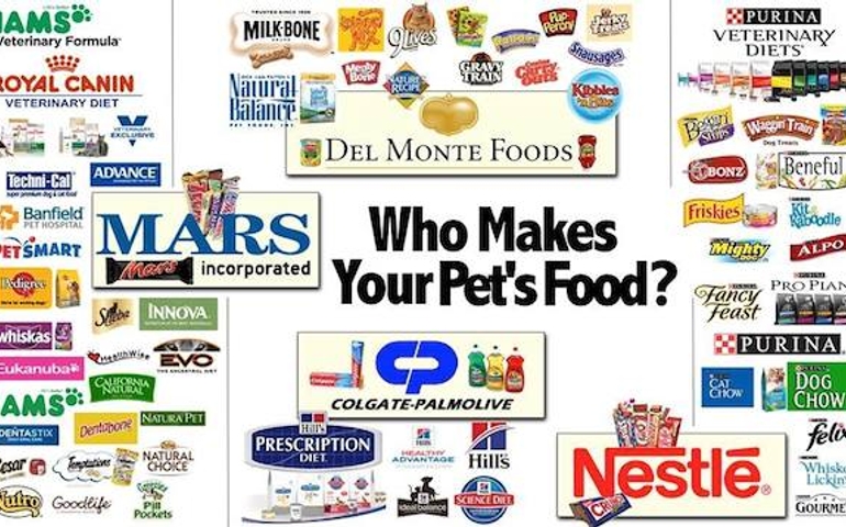 what-do-you-really-know-about-pet-food.jpg