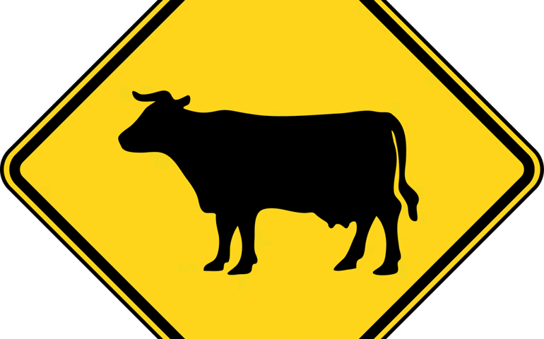 could-you-still-pass-the-drivers-test.jpg