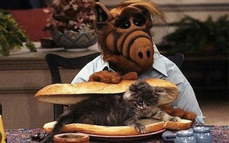 can-you-identify-these-1980s-tv-shows-by-just-one-image.jpg