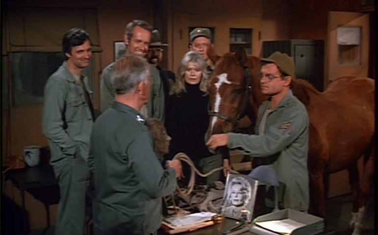 how-much-do-you-know-about-the-tv-series-mash.jpg