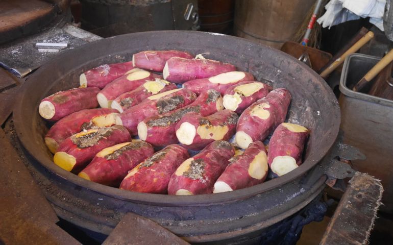 can-you-name-these-japanese-foods.jpg