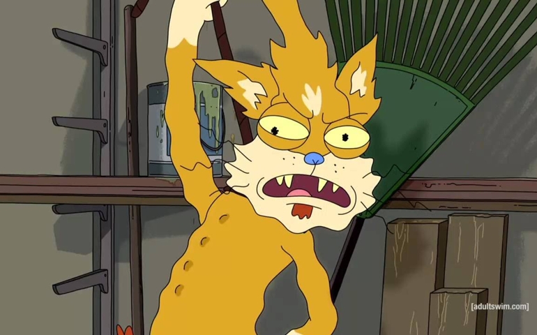 nobody-exists-on-purpose-how-much-do-you-love-rick-and-morty.jpg
