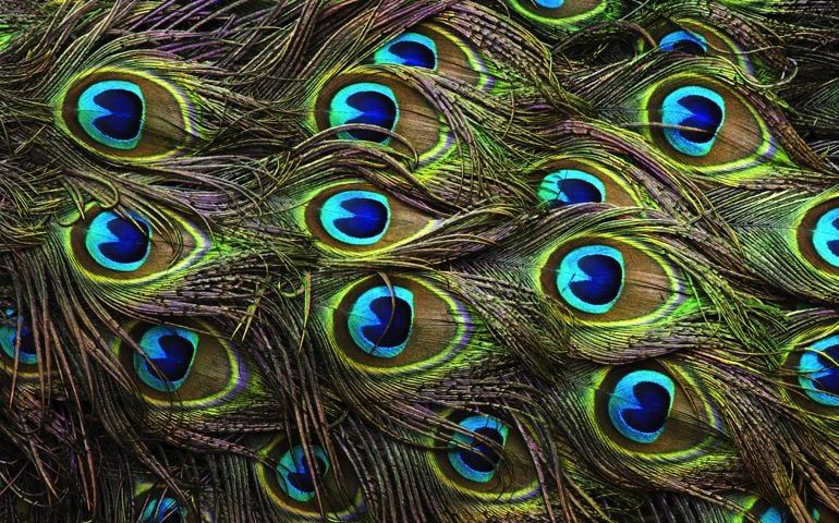 we-can-predict-your-eye-color-based-on-your-answers-to-this-quiz.jpg