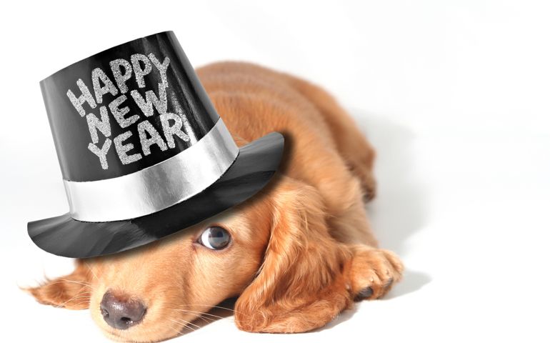 based-on-your-personality-will-you-actually-keep-your-new-years-resolution-this-time-or-ever.jpg