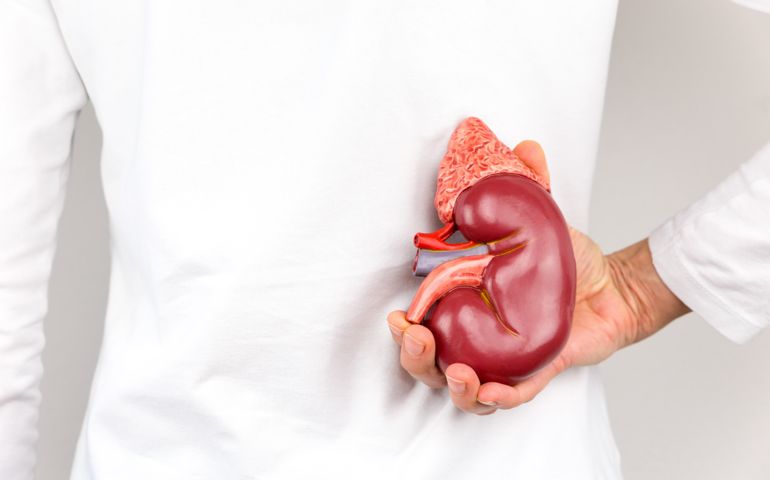 how-well-do-you-know-your-kidneys.jpg