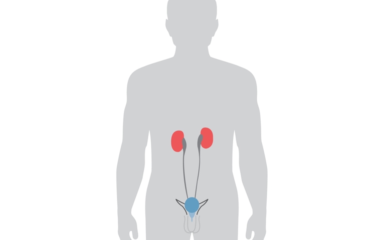 how-well-do-you-know-your-kidneys.jpg