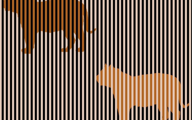 are-you-color-blind-take-this-quiz-to-find-out.jpg