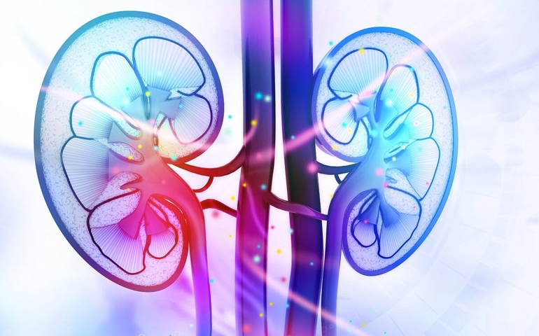 how-well-do-you-know-your-kidneys.jpg