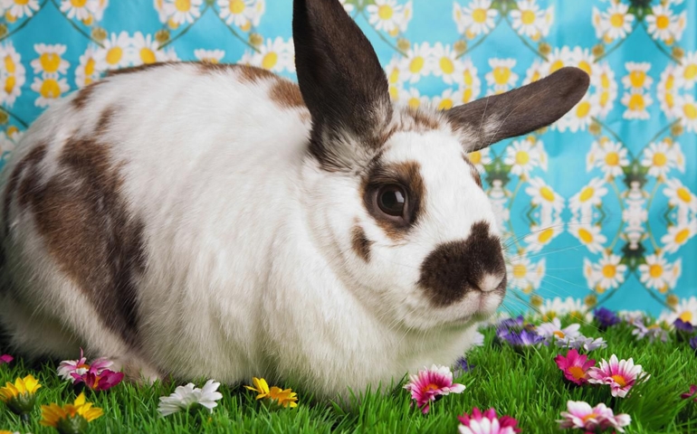 how-much-do-you-recall-about-easter.jpg
