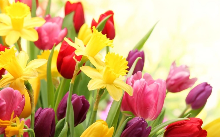 how-much-do-you-recall-about-easter.jpg