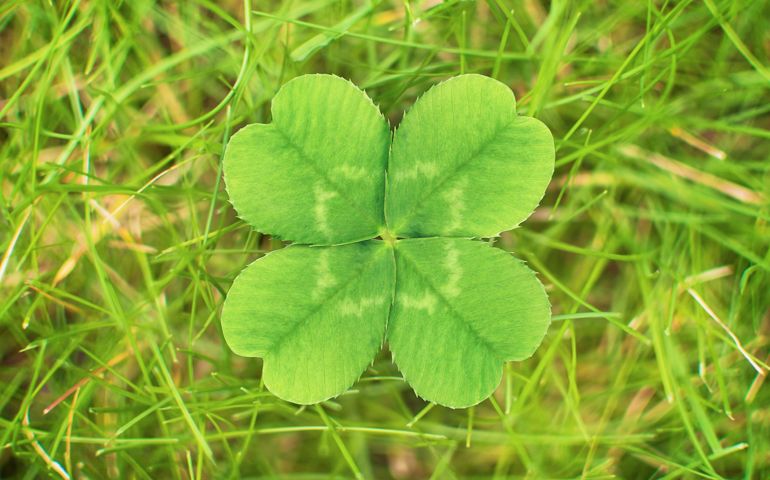 how-much-do-you-know-about-the-history-of-st-patricks-day.jpg