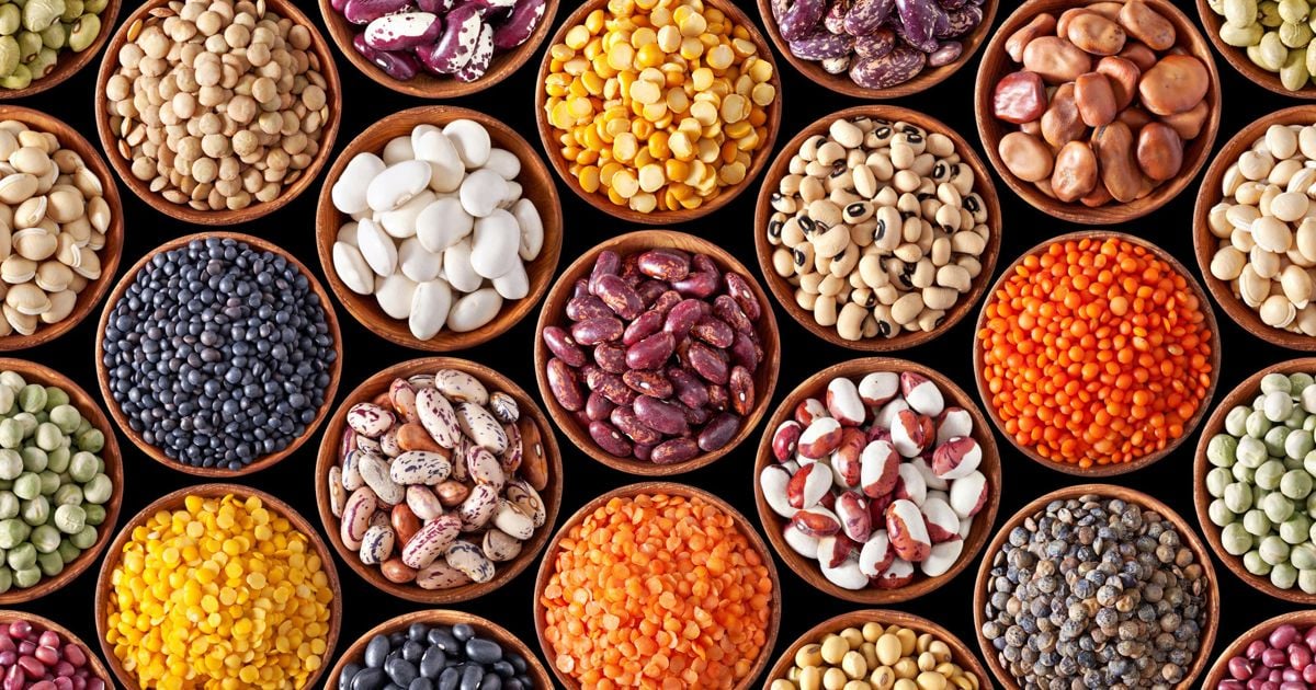 Can You Identify These Foods by Their Scientific Names? - Heywise