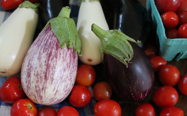 can-you-identify-these-foods-by-their-scientific-names.jpg