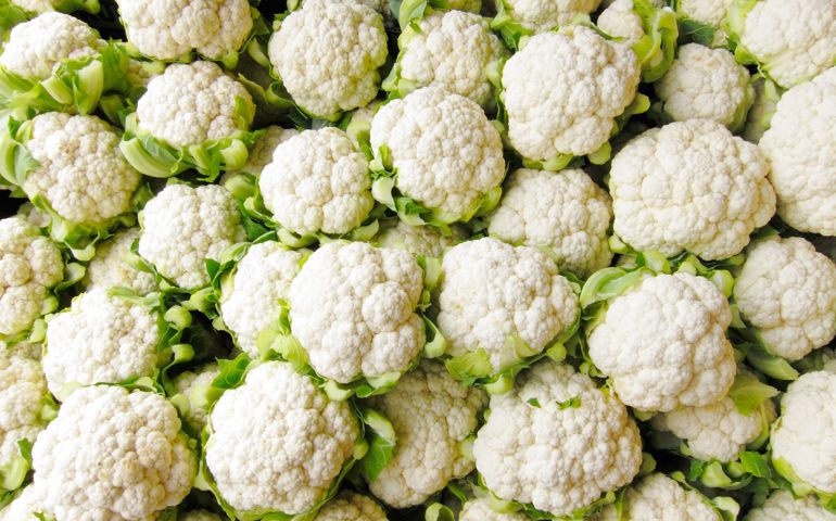 can-you-identify-these-foods-by-their-scientific-names.jpg