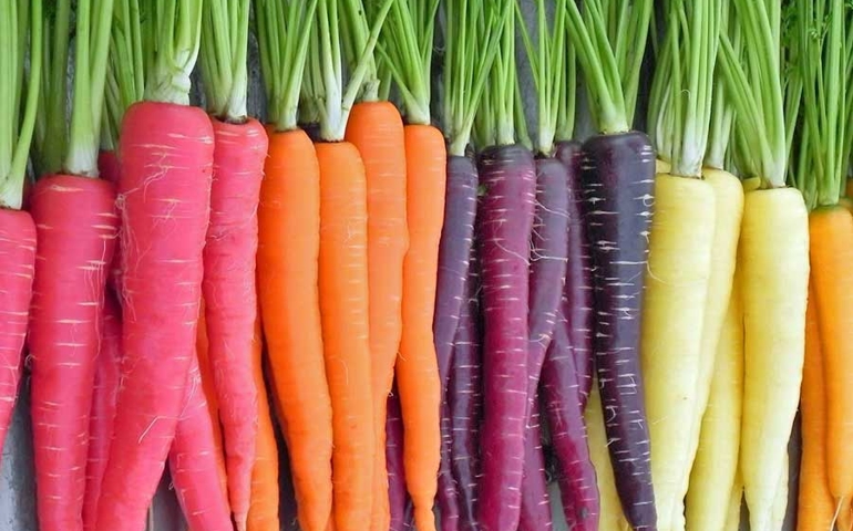 can-you-identify-these-foods-by-their-scientific-names.jpg