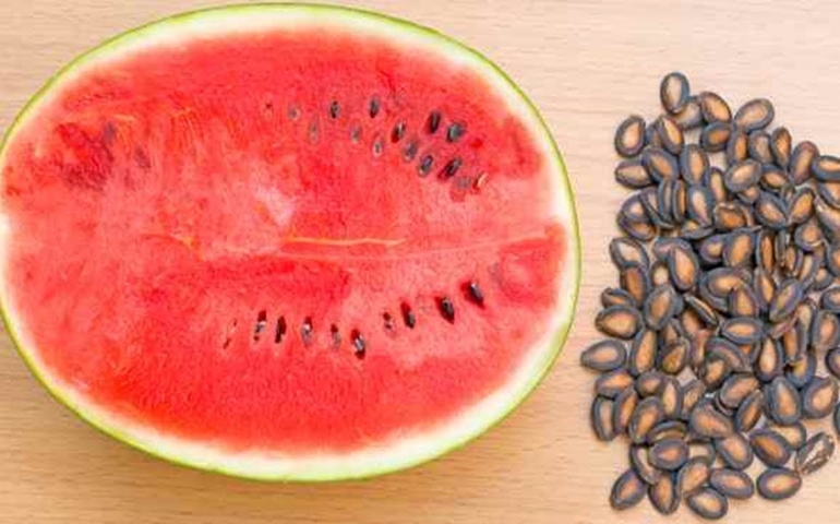 can-you-identify-these-foods-by-their-scientific-names.jpg