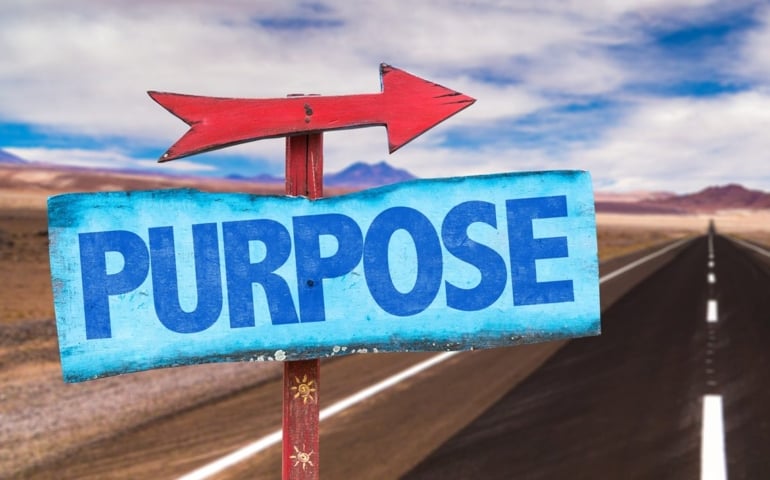 Do you have a purpose?
