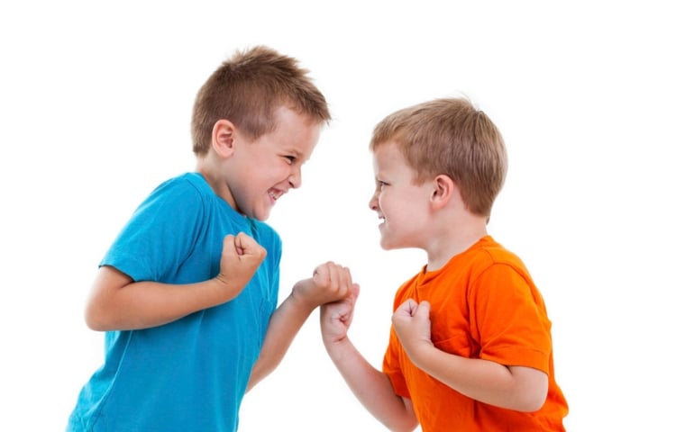 Have you ever gotten in a fist fight?