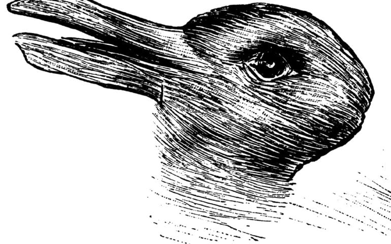What image do you see here?