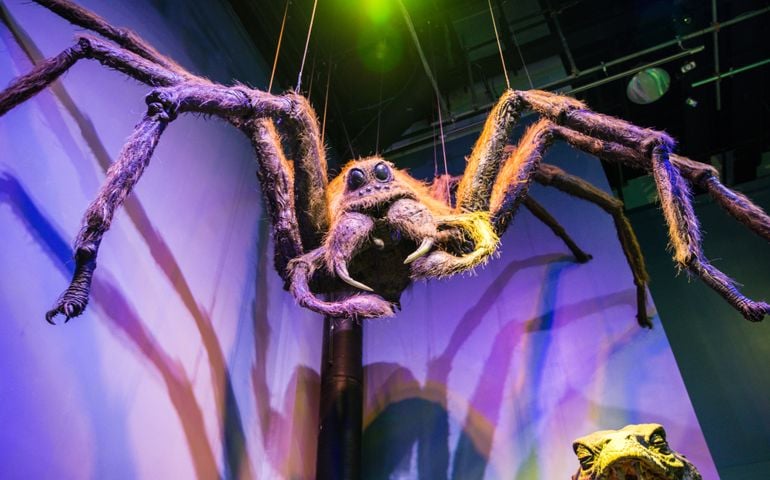 Leavesden UK - 26 Oct 2015: A moving robot model of Aragog, The Making of Harry Potter, WB Studio