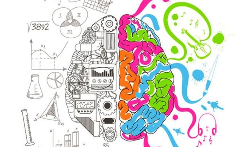 Are You Right Brained Or Left Brained Heywise