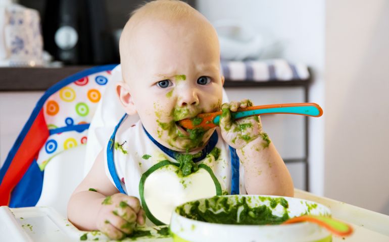 Feeding. Adorable baby child eating with a spoon in high chair. Baby's first solid food